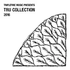 TRU Collection 2016 by Lady M, Ryan Sullivan & STAB Virus album reviews, ratings, credits