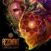 Rezonant - Funky Junkie