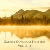 Gabriel Gorcea și Prietenii, Vol. 3 - 4
