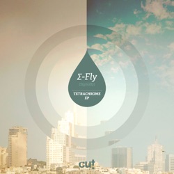 Sigmafly - Similar Self