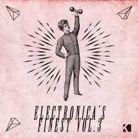 Various Artists - Electronica's Finest, Vol. 3 artwork