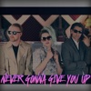 Never Gonna Give You Up - Single