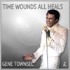 Time Wounds All Heals