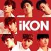 iKON SINGLE COLLECTION