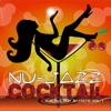 Nu-Jazz Cocktail Italian Top Artists, Vol. 1