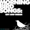 Morning Bird Songs (City and Urban Recordings), 2017