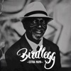 Birdlegg - Walking the Dog
