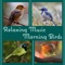 Positive Vibrations (Birds Sounds) - Calm Singing Birds Zone lyrics