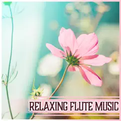 Relaxing Flute Music – Chakra Balance, Mindfulness Meditation, Defeat Your Stress, Spirit Free, Relief for Insomnia by Flute Music Ensemble album reviews, ratings, credits