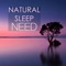 Zen Music Garden (Mindfulness Meditations) - Natural Sleep Land lyrics