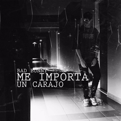 Me Importa Un Carajo - Bad Bunny | Shazam