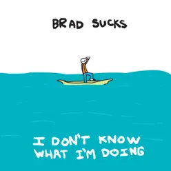 I Don't Know What I'm Doing - Brad Sucks