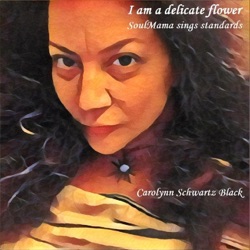 Carolynn Schwartz Black - I've Got a Crush on You