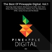 The Best of Pineapple Digital, Vol. 1 artwork