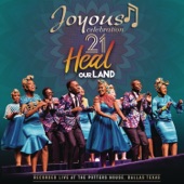 Joyous Celebration 21: Heal Our Land (Live) artwork