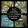 50 Soothing Nature Sounds for Anxiety Therapy – Peaceful Music to Calm Your Mind, Start to Smile, Stress Management, Deep Relaxation