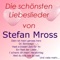 Silbermond - Stefan Mross lyrics