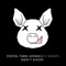 Didn't Know - Digital Farm Animals & Yasmin lyrics