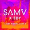 I Just Wanna Love U (Remix) - Sam V & EDY lyrics