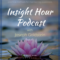 Insight Hour with Joseph Goldstein podcast