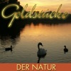 Goldstücke der Natur, 2016