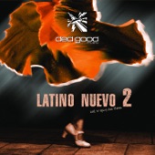 Latino Nuevo 2 artwork