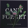 Can't Forget - Single