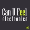 Can U Feel Electronica, Vol. 1