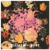 Pillars and Pyre - Single artwork