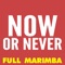 Now or Never (Marimba Remix) - The Marimba Squad lyrics