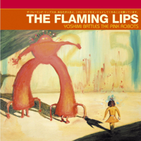 The Flaming Lips - Do You Realize?? artwork