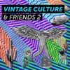 Vintage Culture & Friends 2 - EP