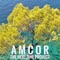 A. M. C. O. R. - Amcor lyrics