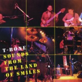 T-Bone Live : Sound from the Land of Smiles artwork
