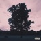 Enemies (feat. Jay Maurice) - Zach Williams lyrics