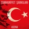 Çanakkale İçinde - Asena lyrics