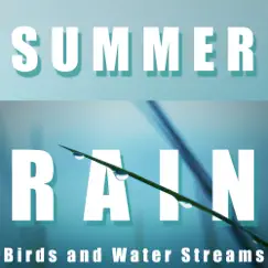 Summer Rain, Birds and Water Streams by Mindful Meditation album reviews, ratings, credits