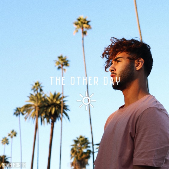 Cover artwork for The Other Day