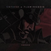 Voodoo (feat. Flamingosis) - Single