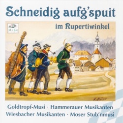 Moser Stub'nmusi - Marsch Von E. Trojan