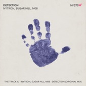 Nytron - Detection (Original Mix)