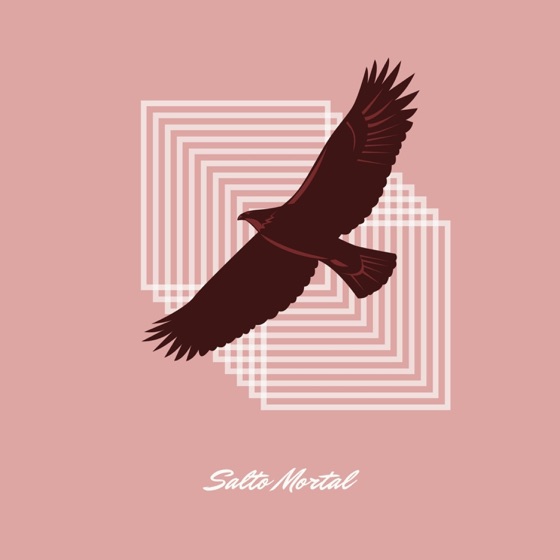 Cover artwork for Salto Mortal