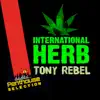 Stream & download International Herb - Single