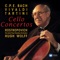 Cello Concerto in D Major (Arr. Wolff): II. Allegro artwork