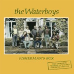 The Waterboys - Girl of the North Country (2013 Remaster)