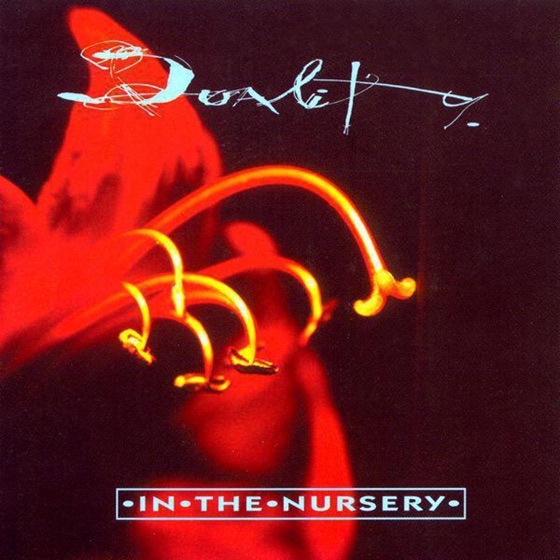 Cover artwork for Duality