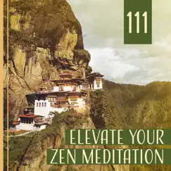 111: Elevate Your Zen Meditation Music, Healing Sounds of Nature for Yoga, Reiki, Deep Sleep, Ocean Waves, Singing Birds by Mindfulness Meditation Unit album reviews, ratings, credits