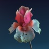 Flume - Never Be Like You (feat. Kai)