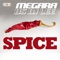 Spice - Megara Vs Dj Lee lyrics