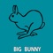 Crazy America - Bunny House lyrics